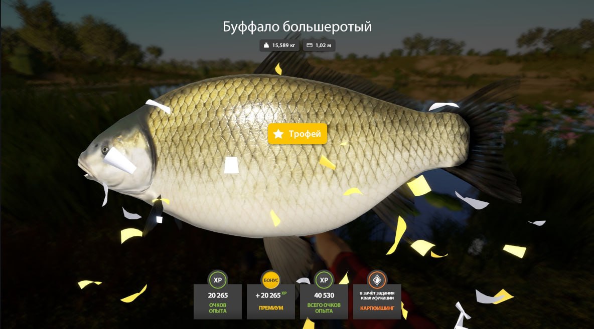 Улов (Буффало большеротый) на #трофей_rf4map в RF4