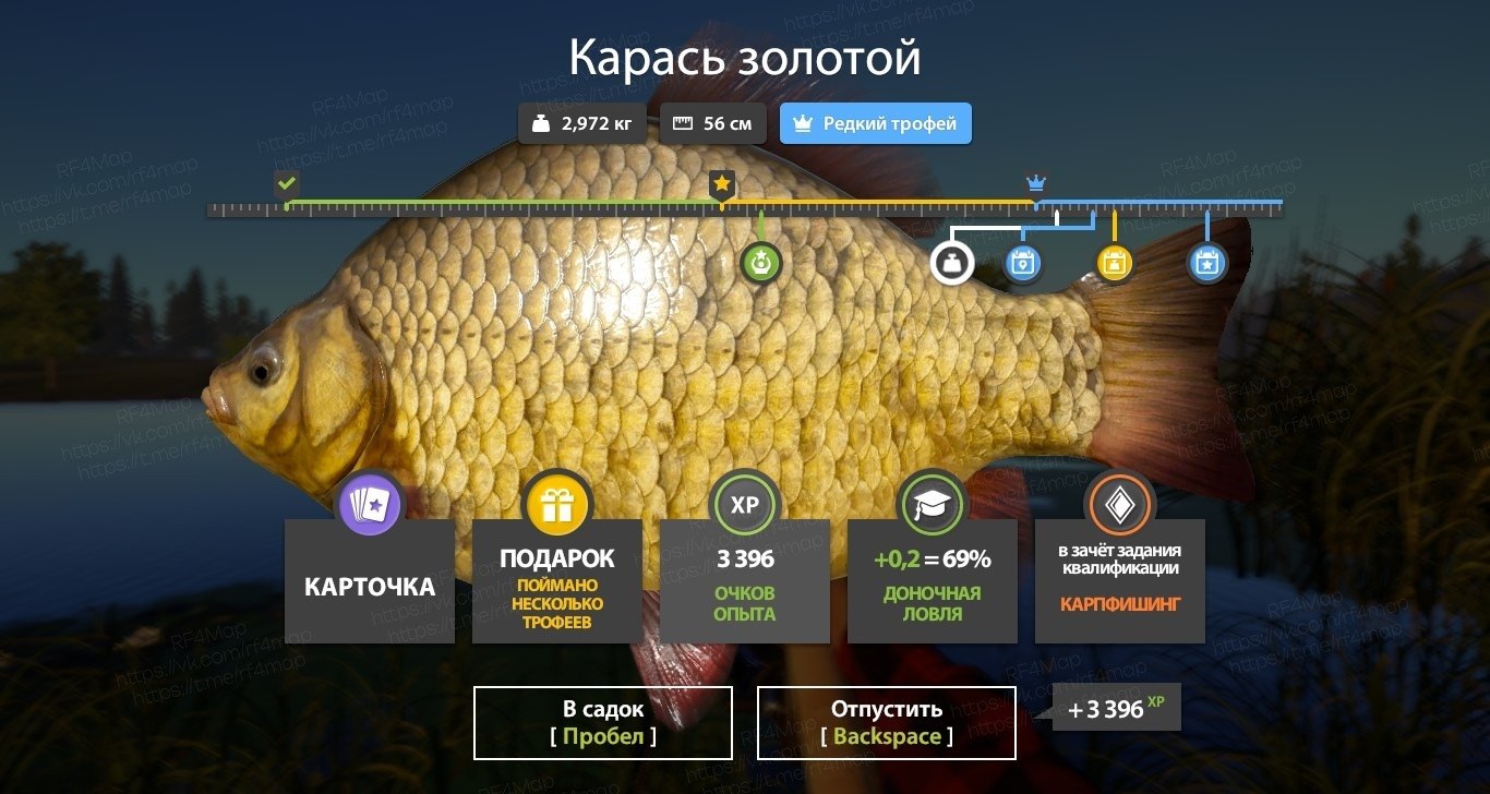 Улов (Карась золотой, Амур белый, Амур чёрный, Карп чешуйчатый) на #фарм_rf4map в RF4