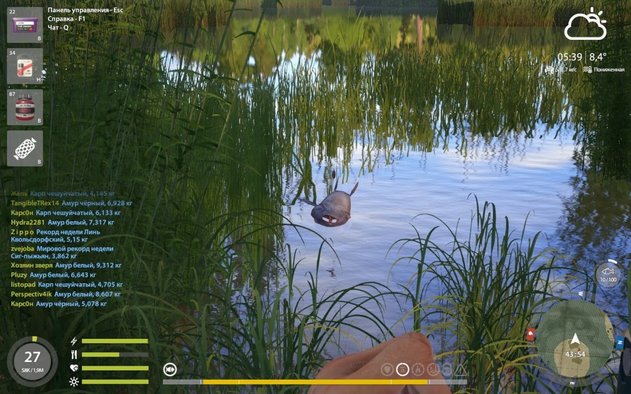 Улов (Амур чёрный) на #трофей_rf4map в RF4