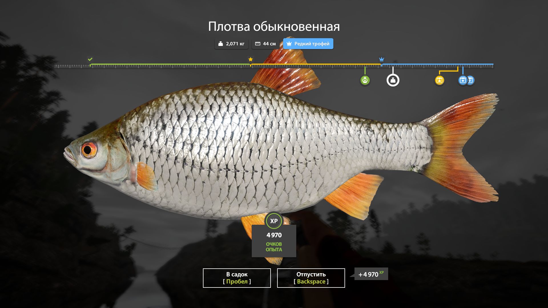 Улов (Плотва) на #трофей_rf4map в RF4