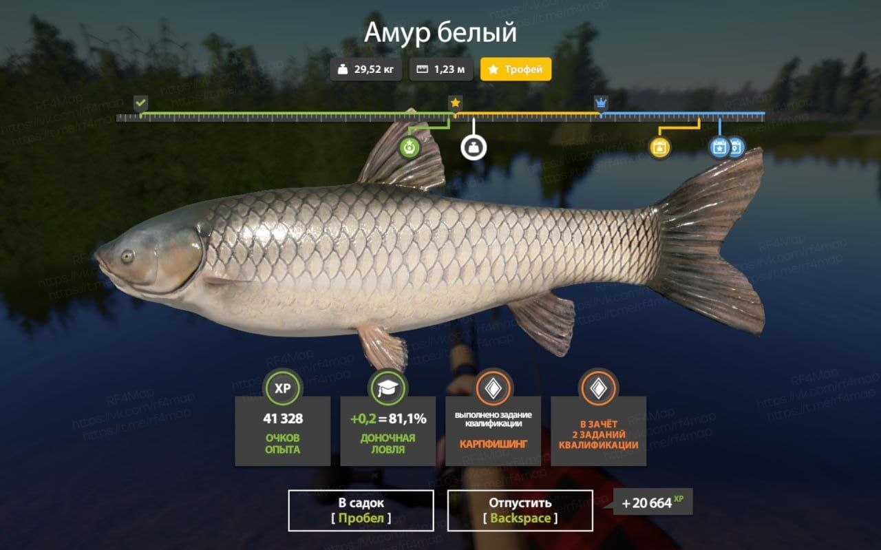 Улов (Амур белый) на #трофей_rf4map в RF4