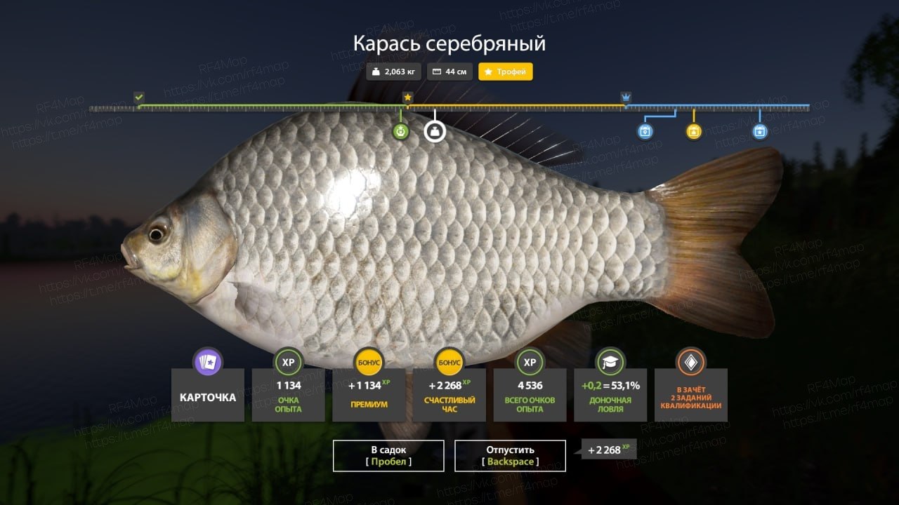 Улов (Карась серебряный) на #трофей_rf4map в RF4