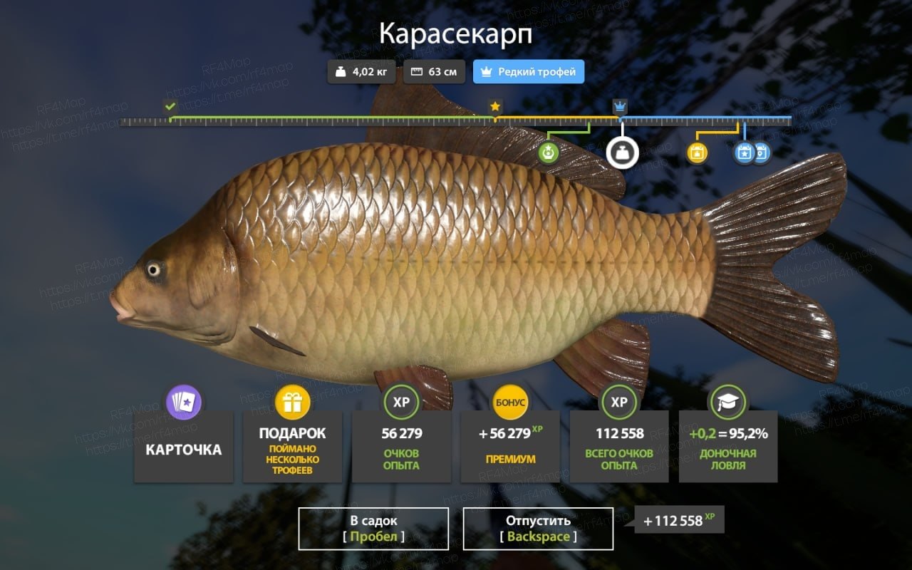Улов (Карасекарп) на #трофей_rf4map в RF4
