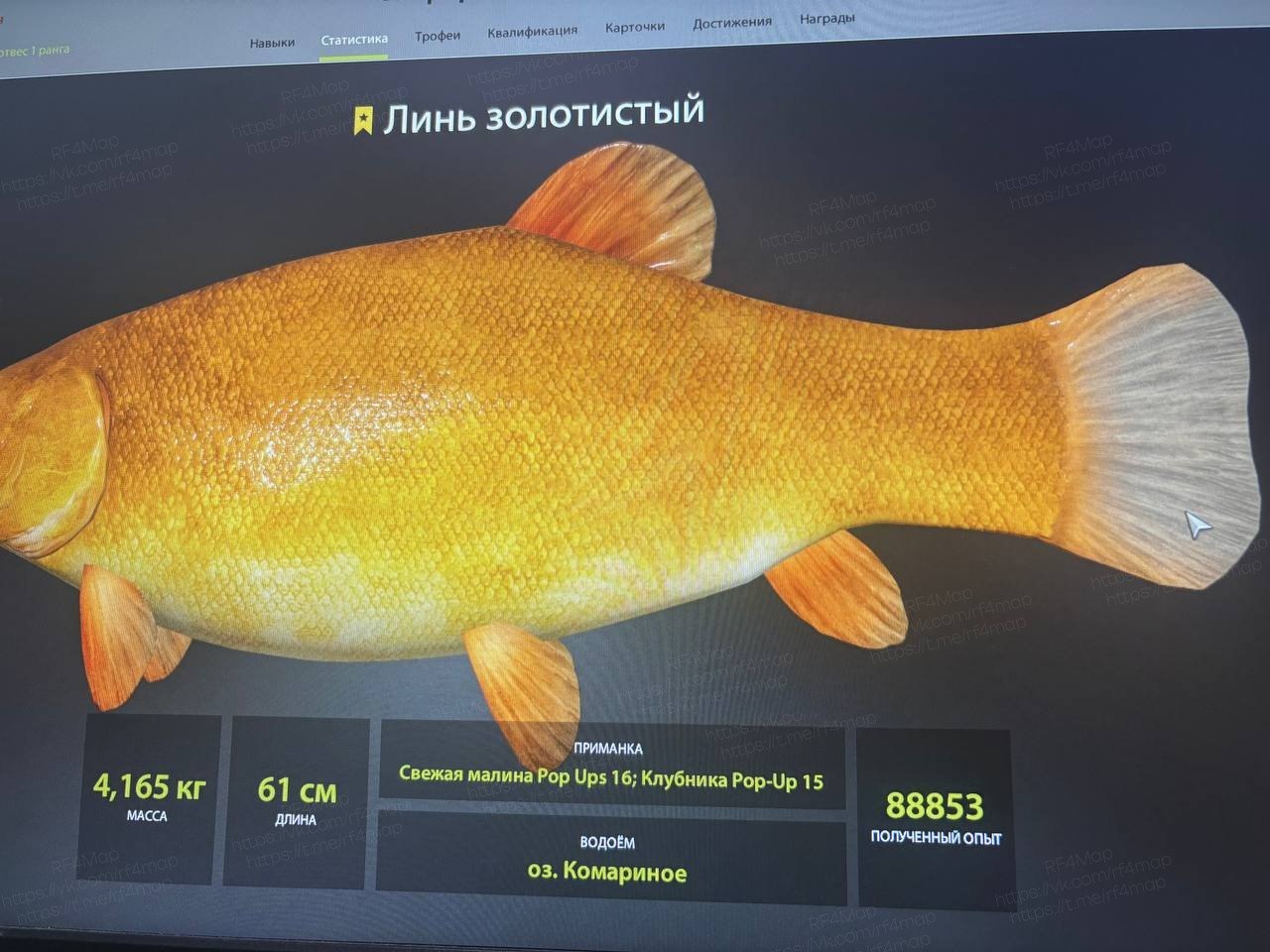 Улов (Линь золотистый) на #трофей_rf4map в RF4