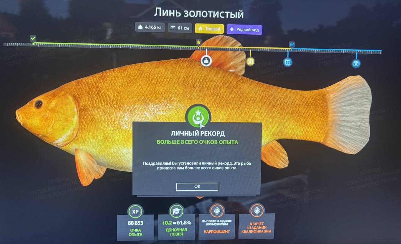 Улов (Линь золотистый) на #трофей_rf4map в RF4