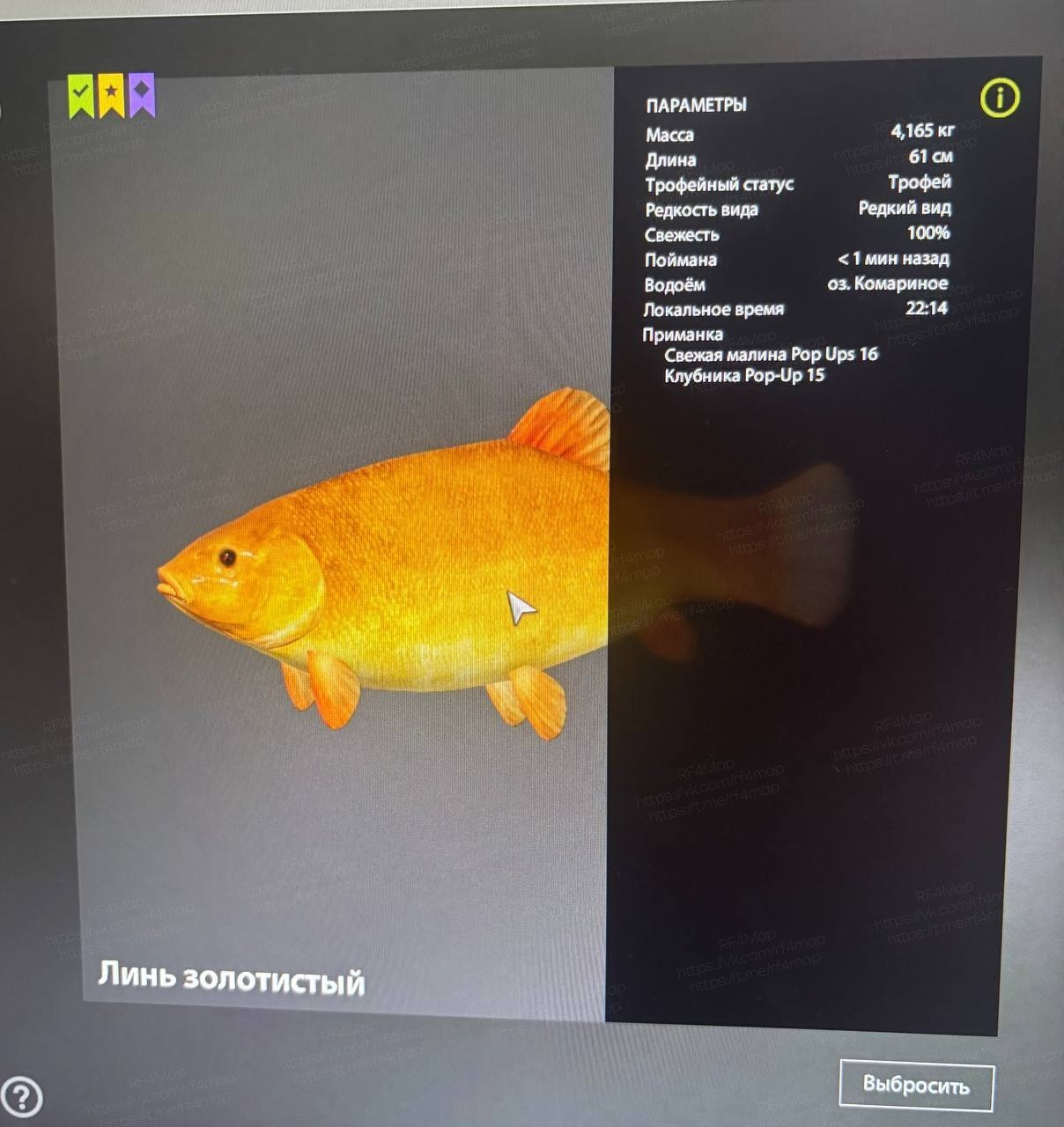 Улов (Линь золотистый) на #трофей_rf4map в RF4