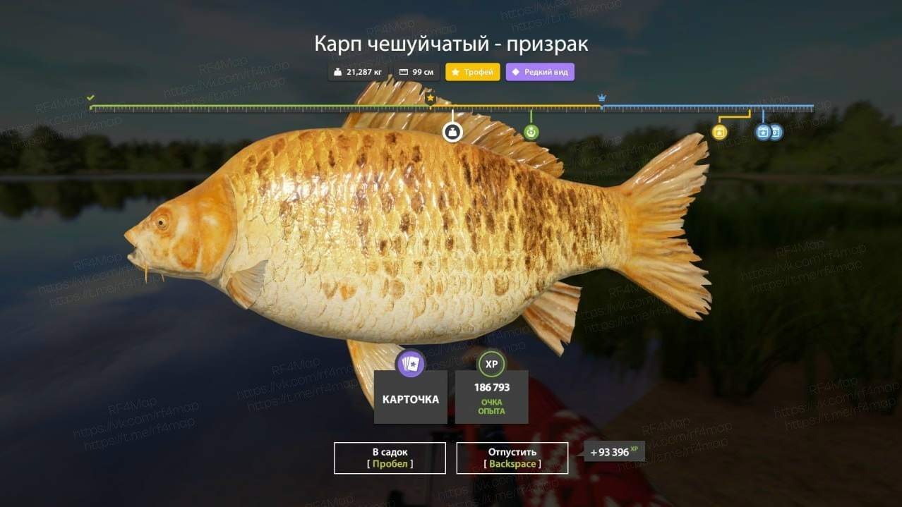 Фото точки