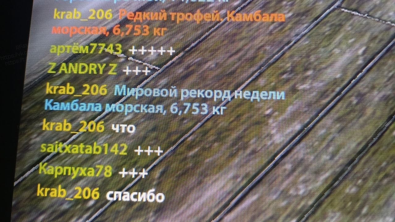 Улов (Камбала морская) на трофей в RF4