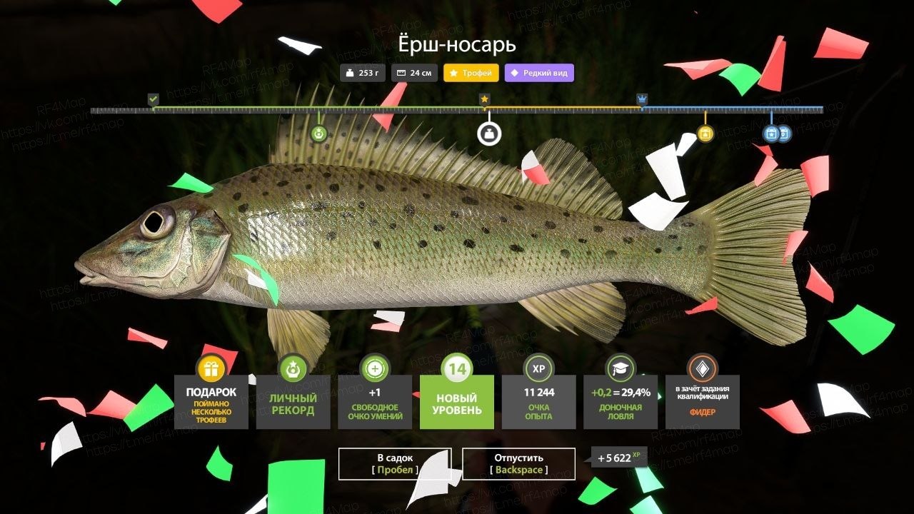 Улов (Ёрш-носарь, Пескарь обыкновенный) на трофей в RF4