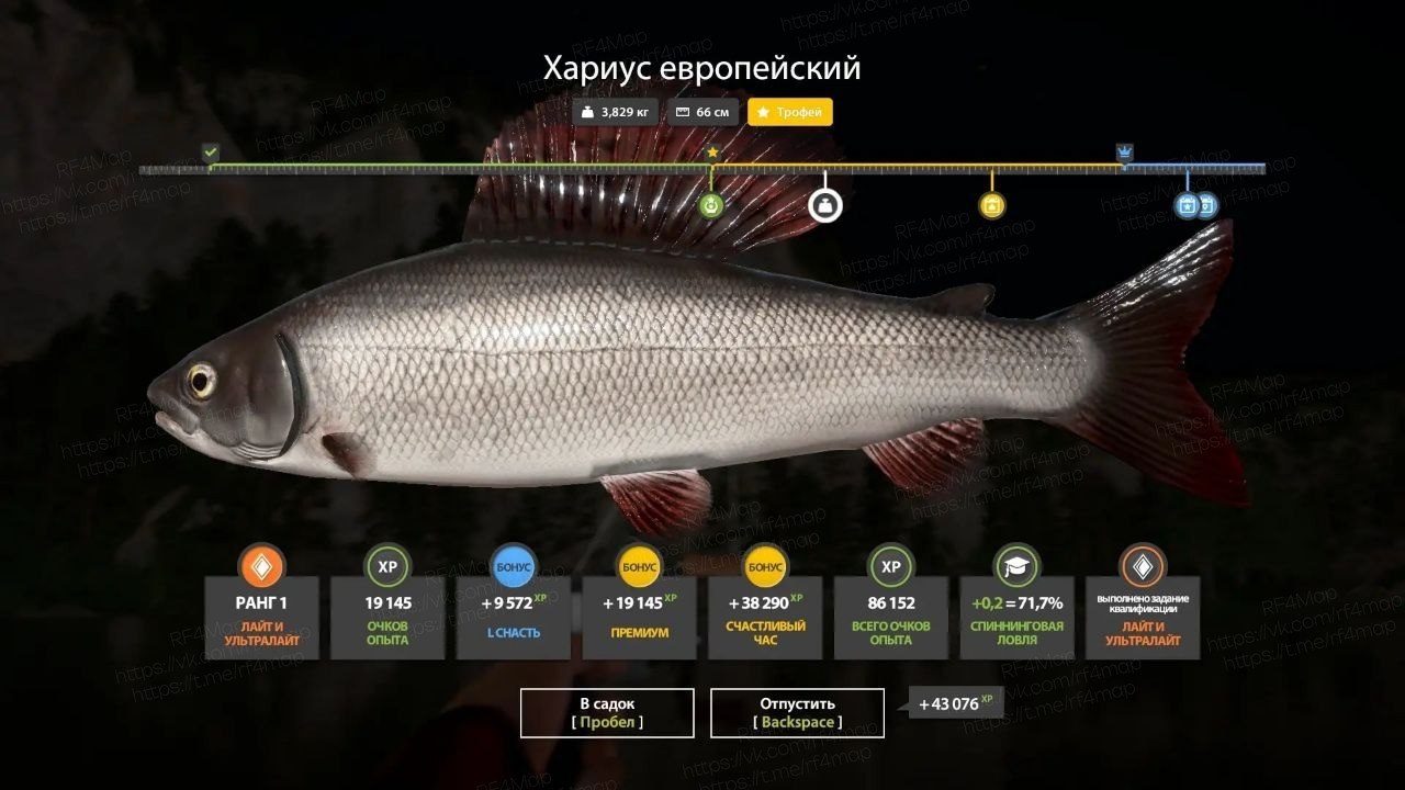 Фото точки