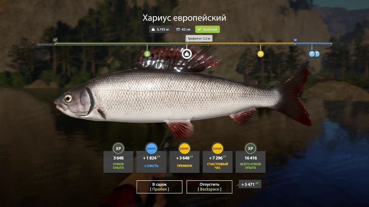 Улов (Хариус европейский) на трофей в RF4