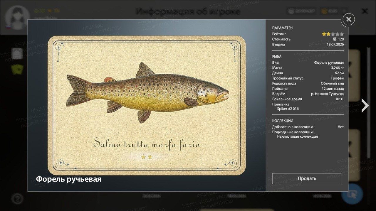 Улов (Форель ручьевая) на трофей в RF4