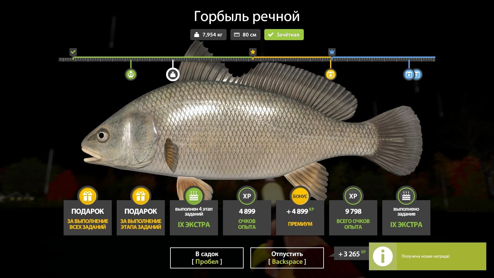 Улов (Горбыль речной) на задания в RF4
