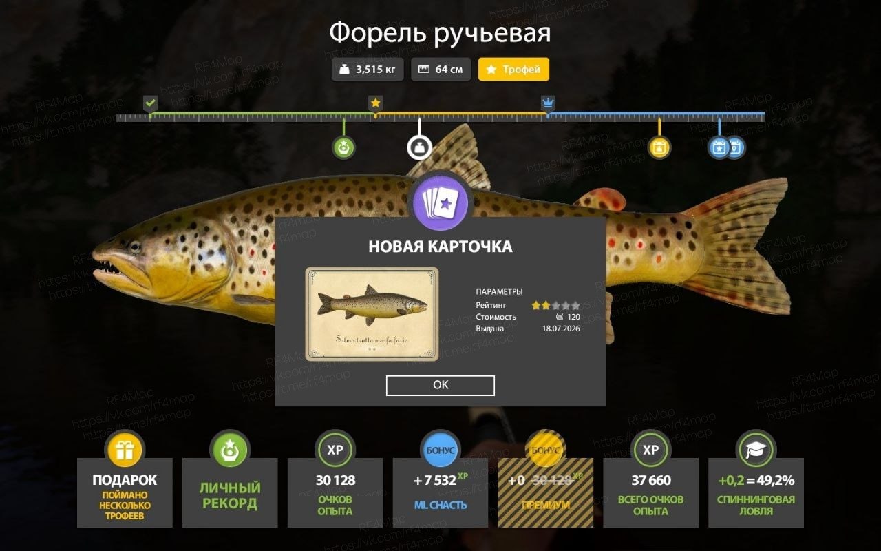 Фото точки