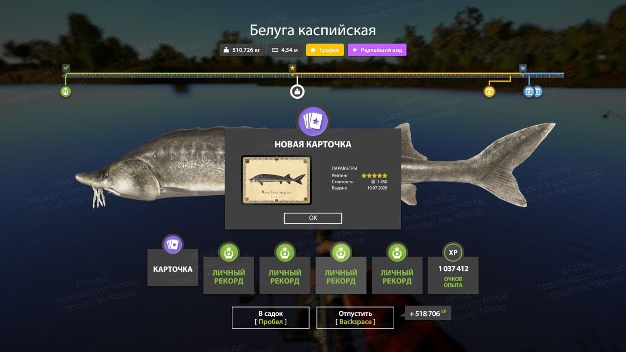 Улов (Белуга каспийская) на трофей в RF4