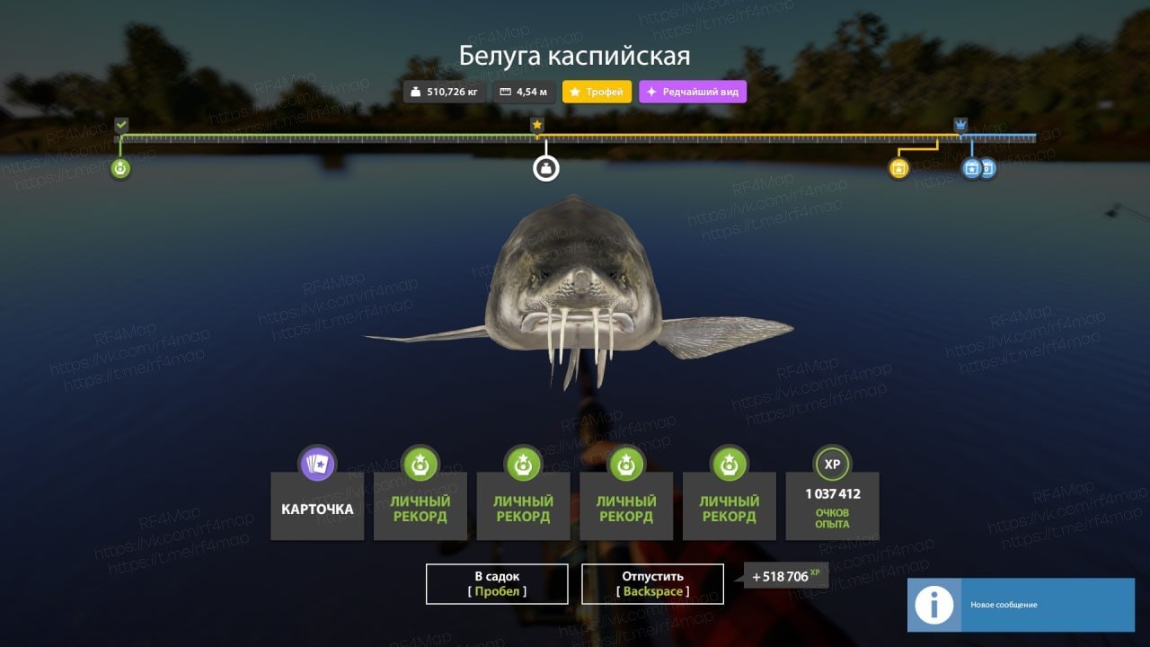 Улов (Белуга каспийская) на трофей в RF4