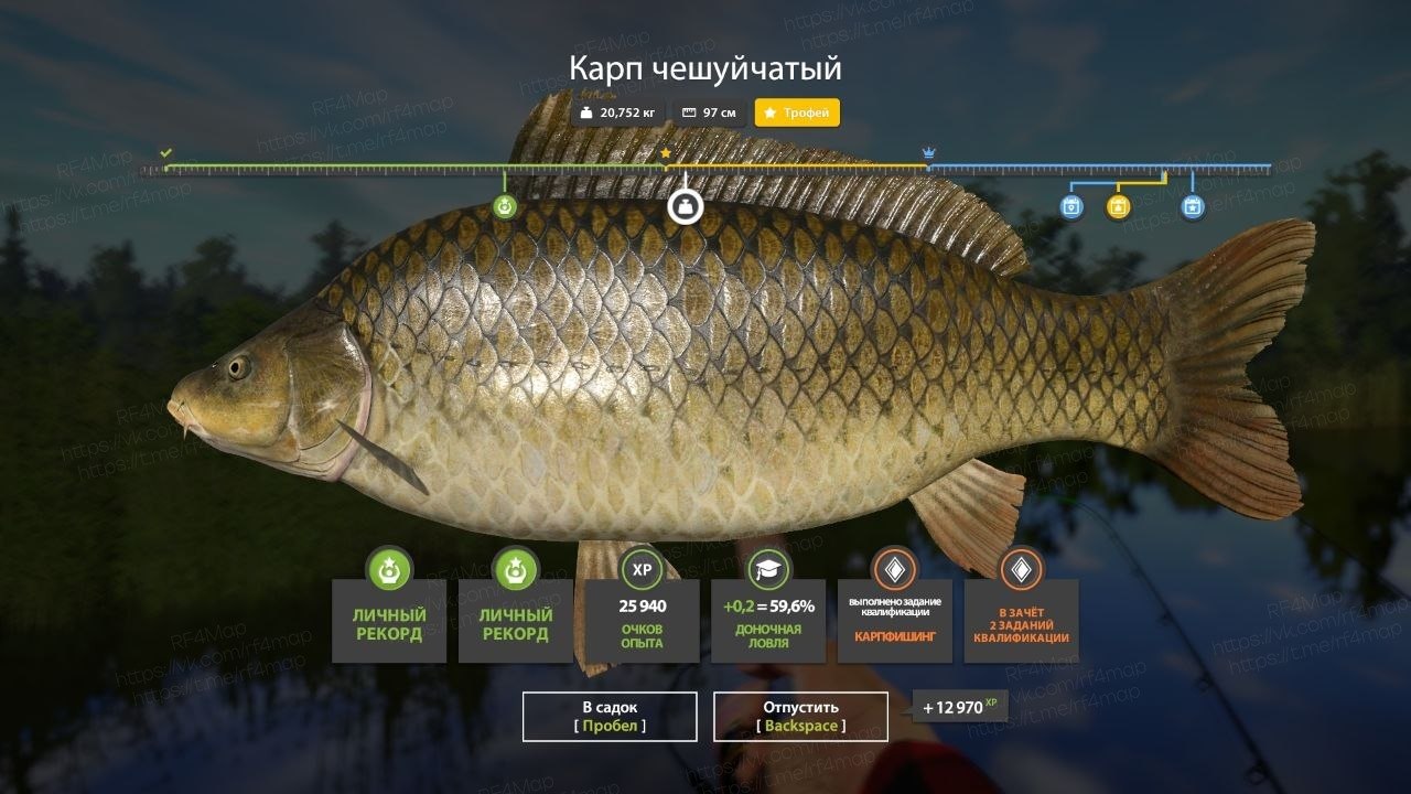 Фото точки