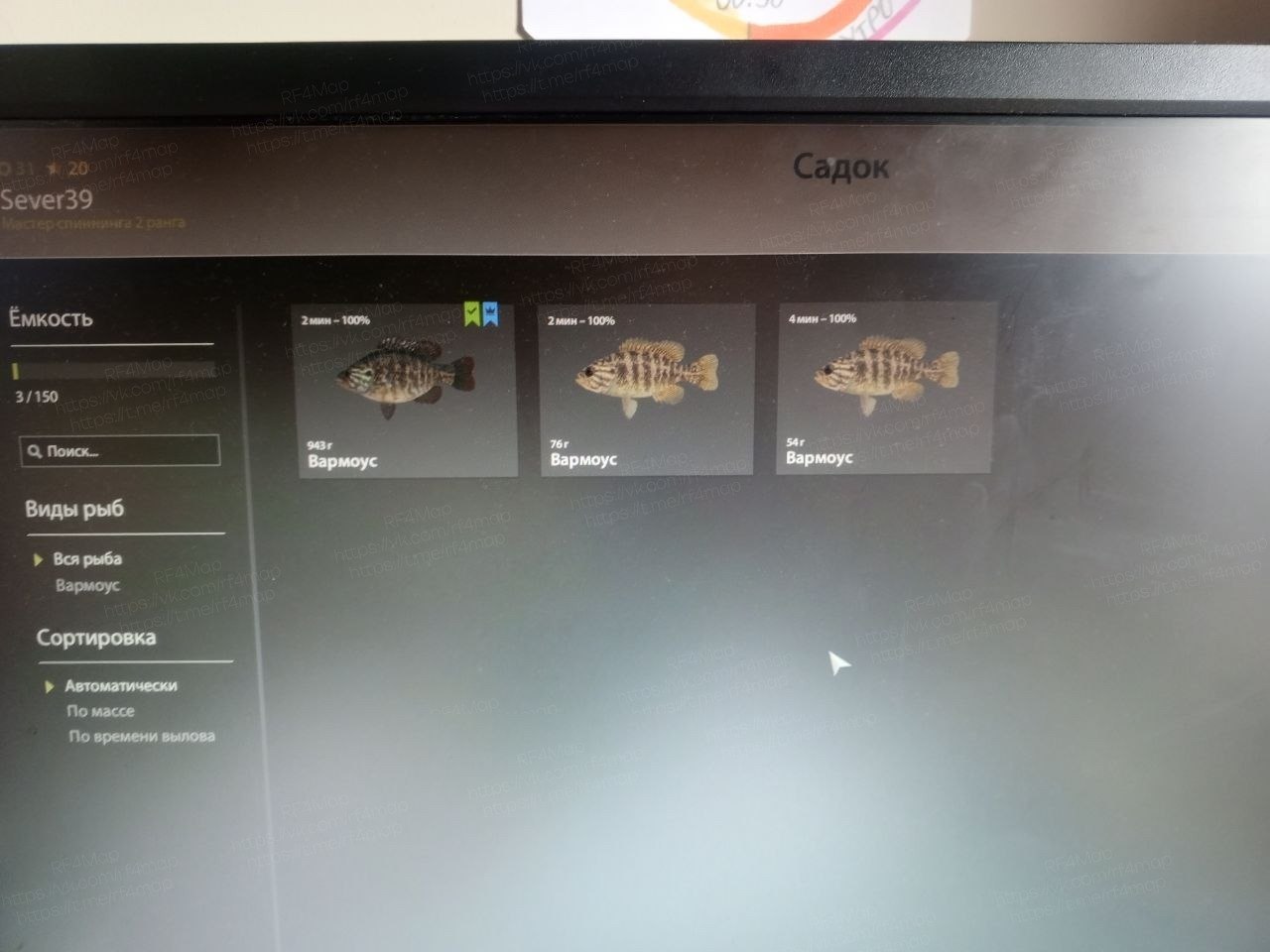 Улов (Вармоус) на трофей в RF4