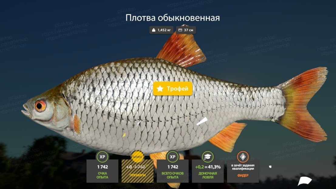 Фото точки