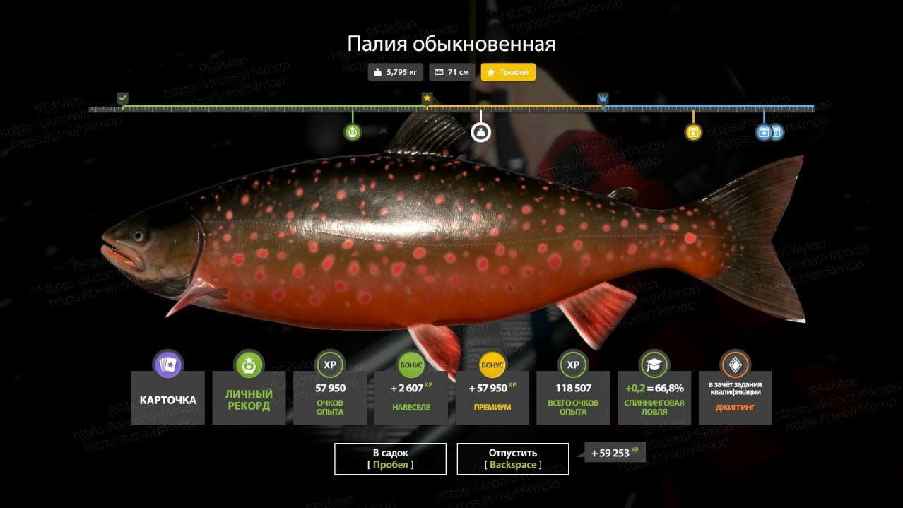 Улов (Палия обыкновенная) на трофей в RF4