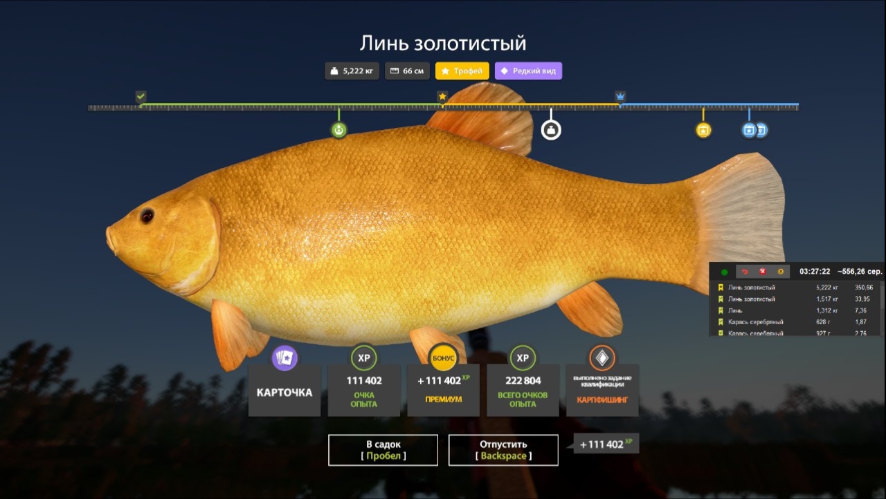Улов (Линь Золотистый) на трофей в RF4