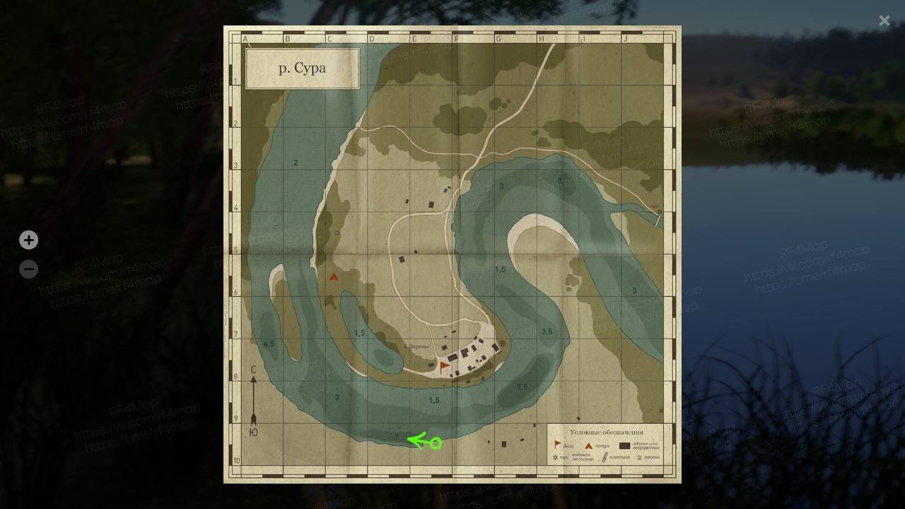 Улов (Толстолобик пёстрый) на трофей в RF4