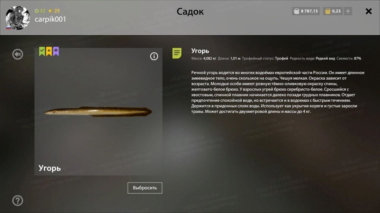 Улов (Угорь) на трофей в RF4