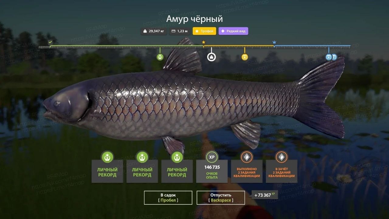 Улов (Амур чёрный) на трофей в RF4