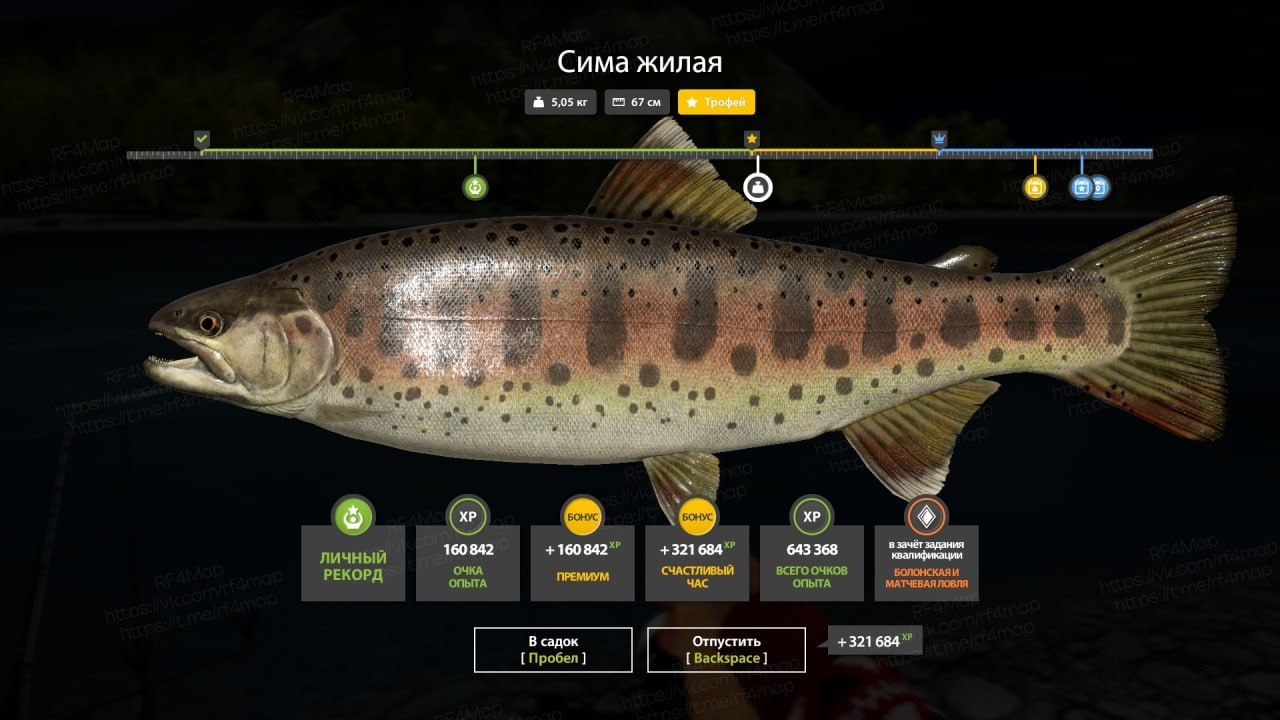 Улов (Разнорыбица, Сима жилая) на фарм в RF4
