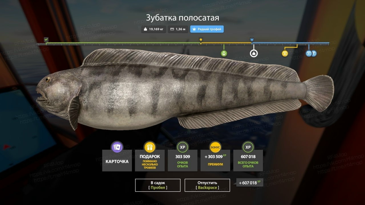 Фото точки