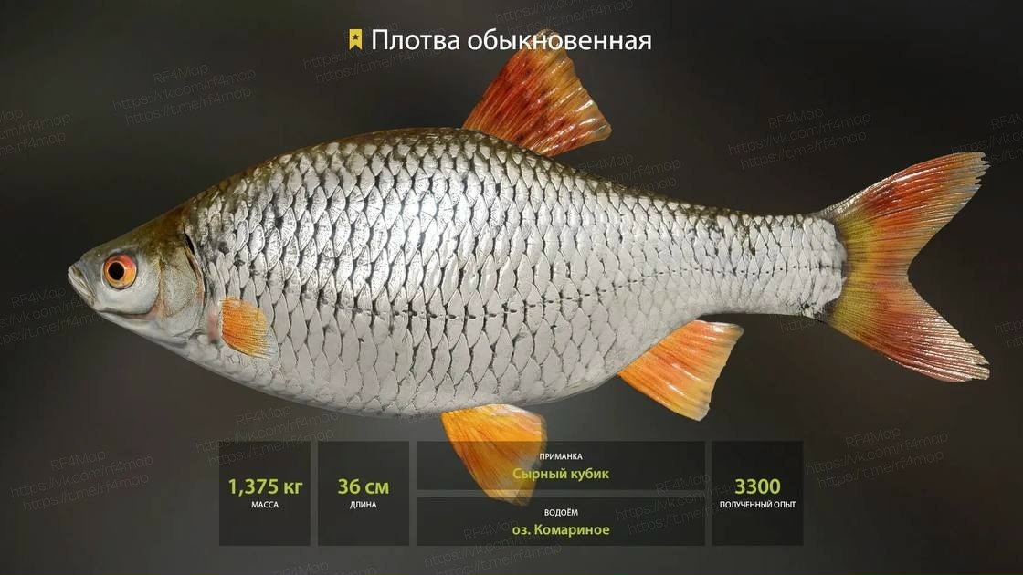 Фото точки