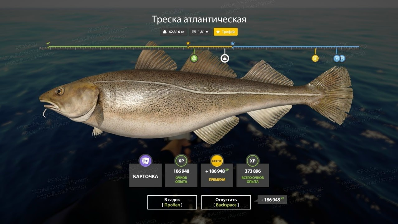 Фото точки