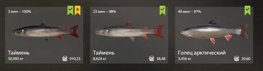 Улов (Таймень) на трофей в RF4