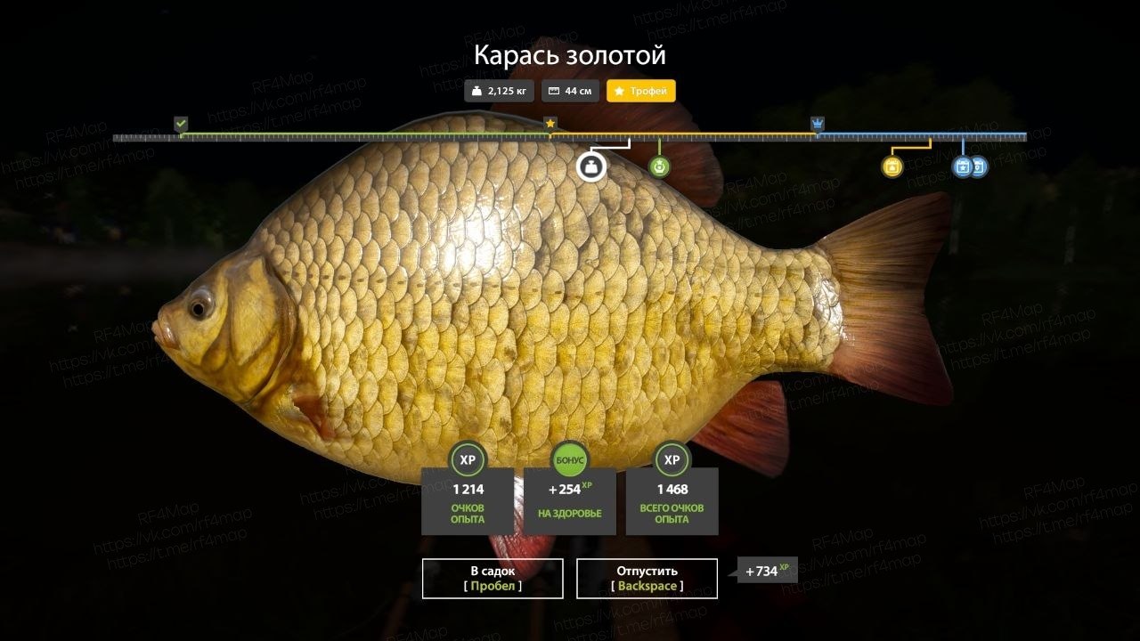 Улов (Лещ, Карась золотой) на трофей в RF4