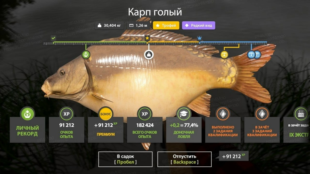 Фото точки