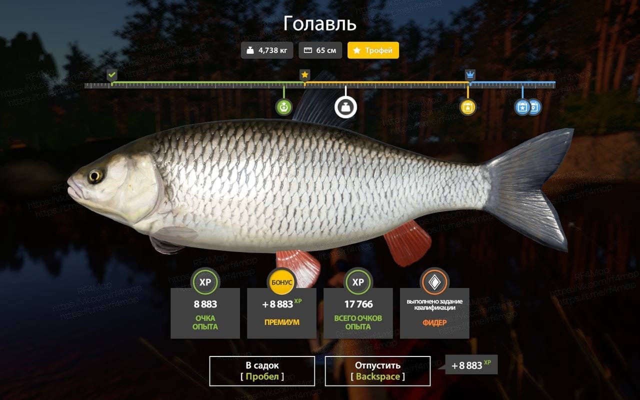 Улов (Голавль) на трофей в RF4