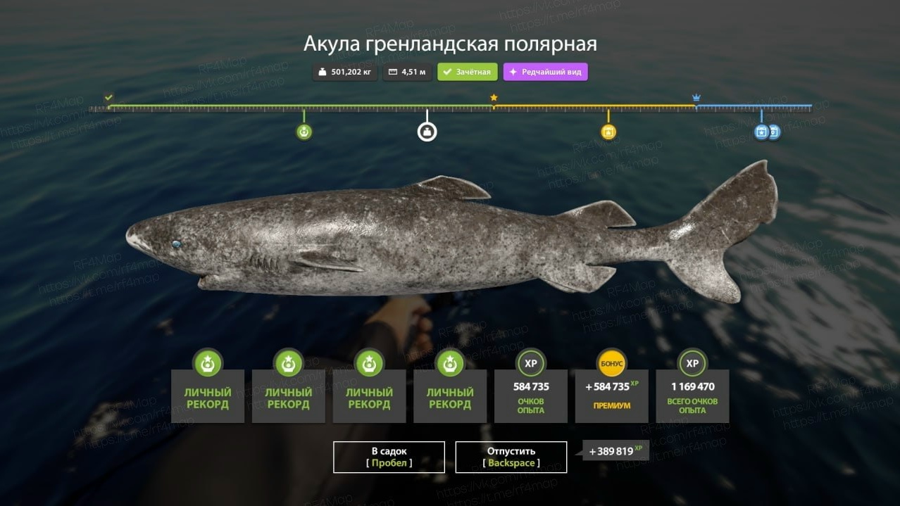 Фото точки