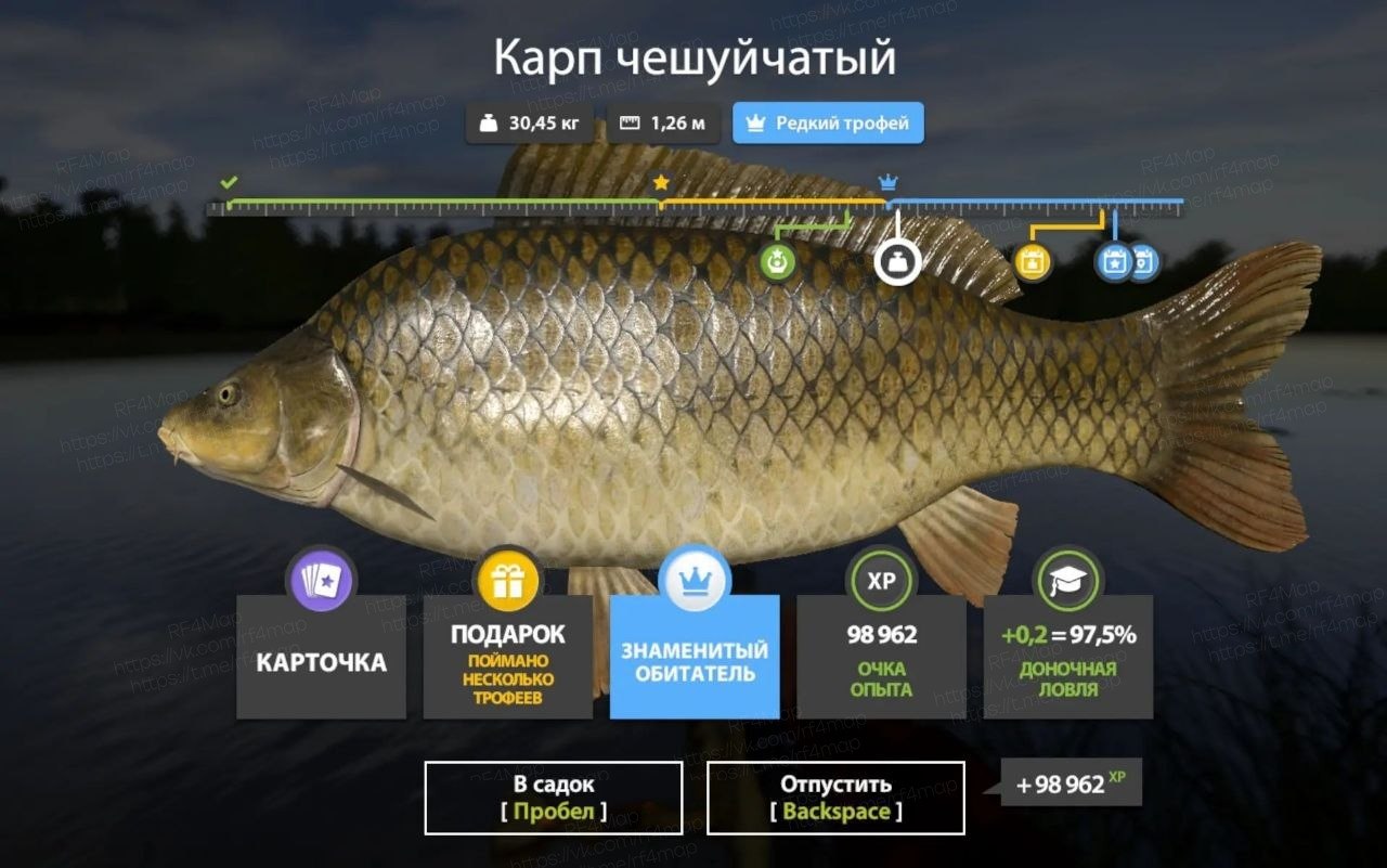 Фото точки