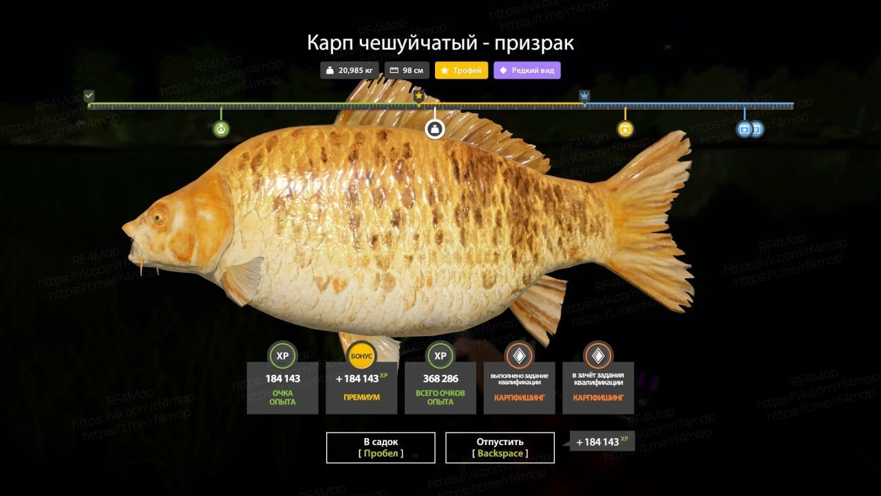 Фото точки