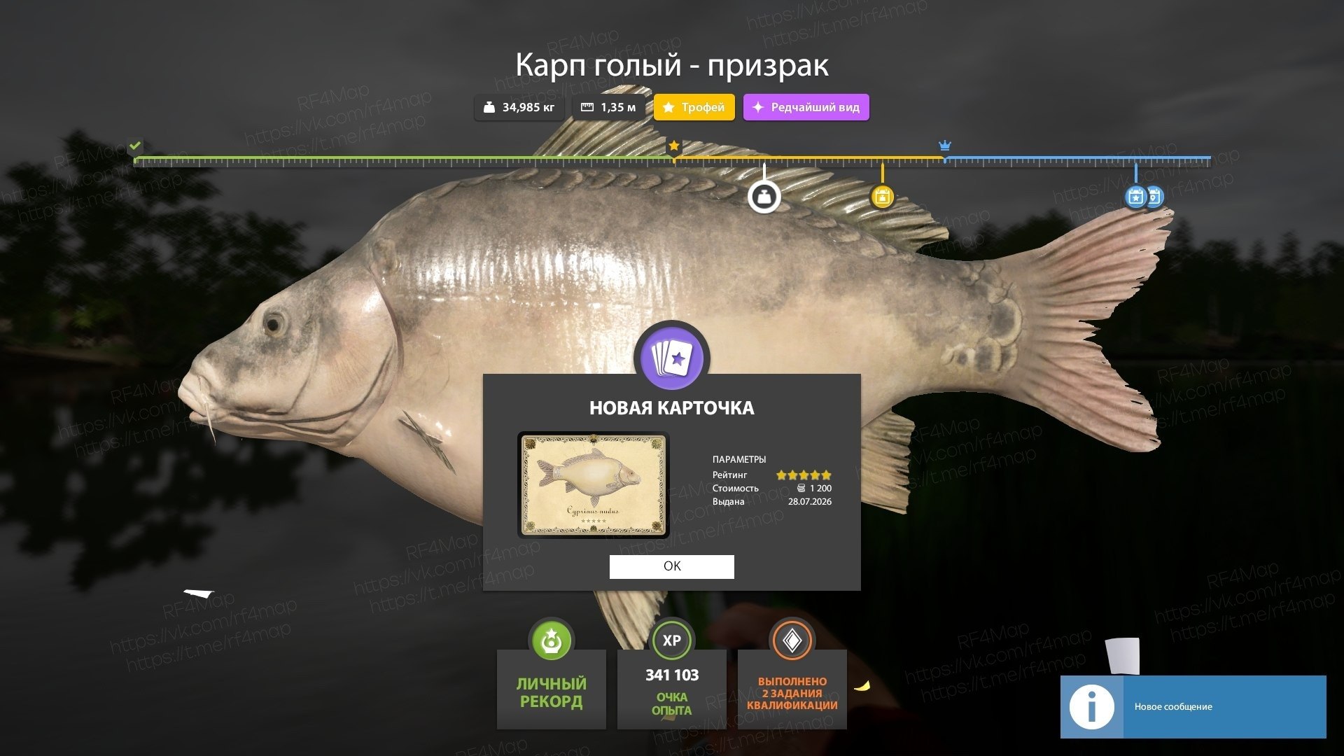 Фото точки