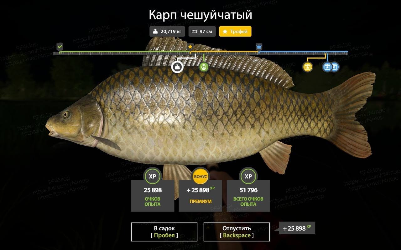 Фото точки