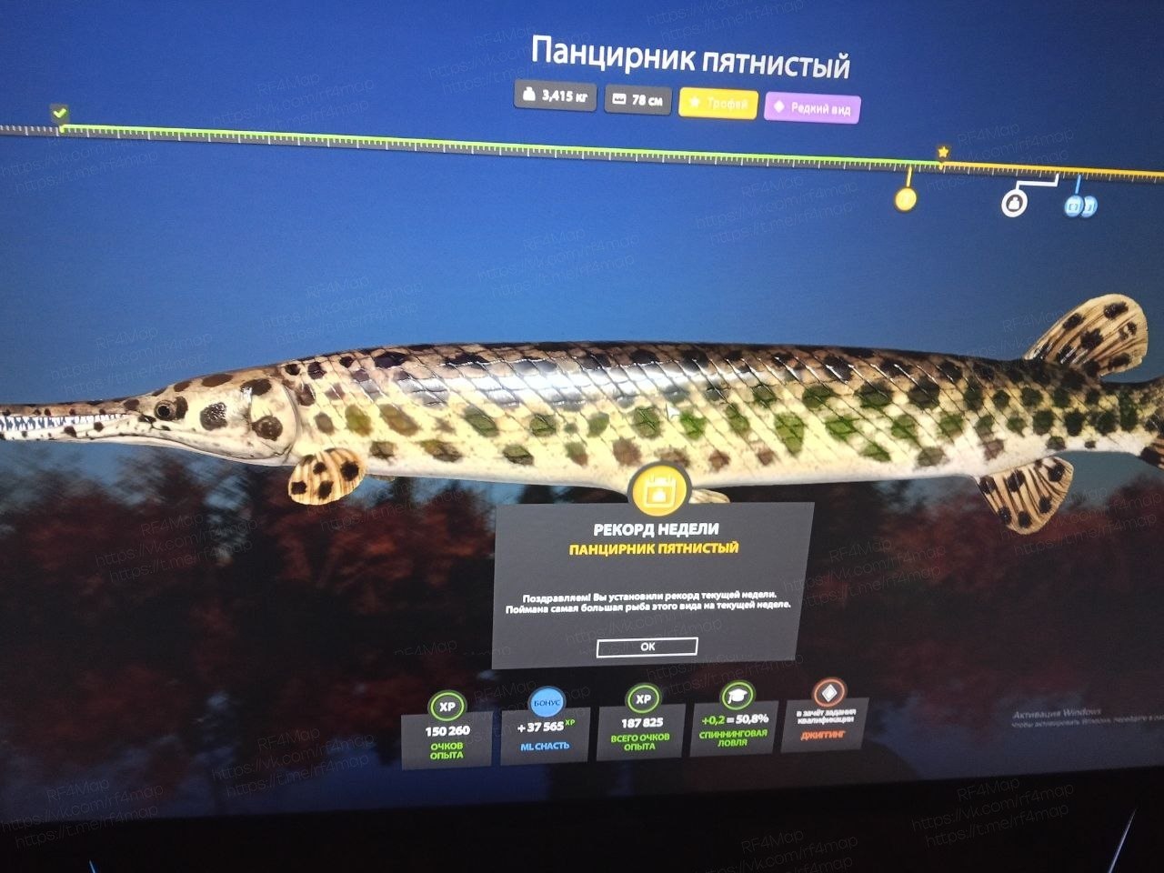 Фото точки