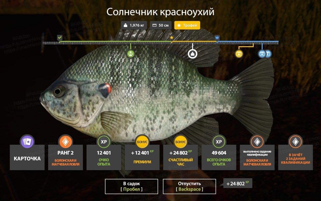 Фото точки