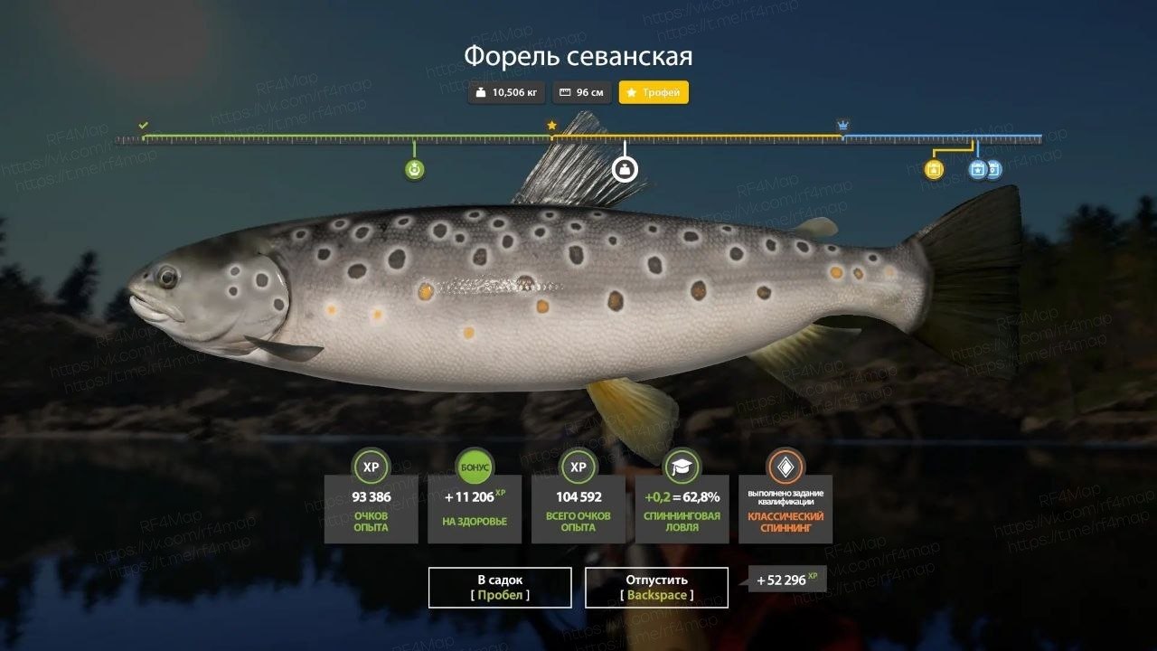 Фото точки