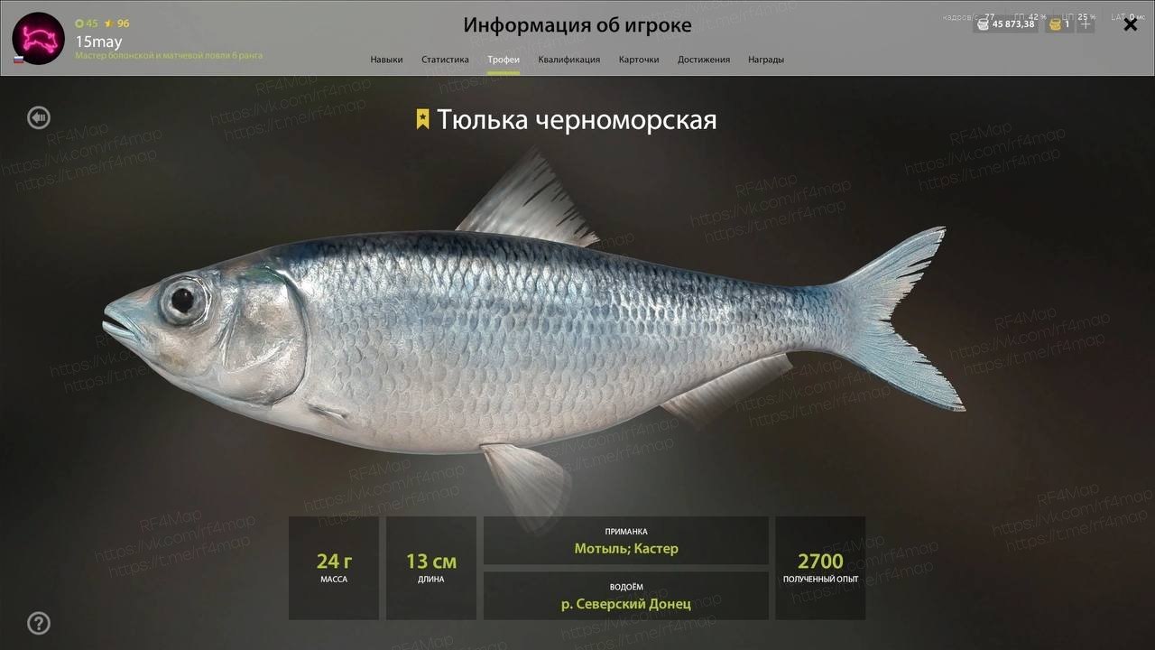Фото точки