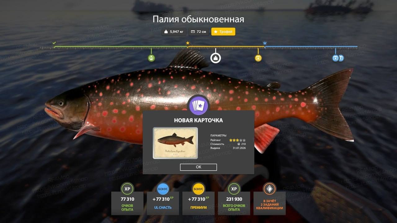 Фото точки