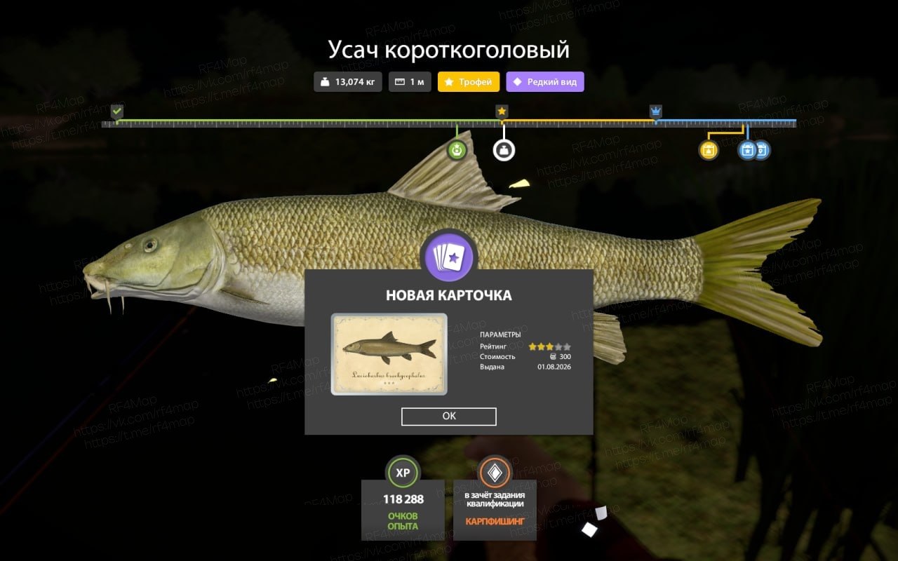 Фото точки