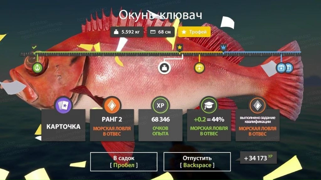 Фото точки