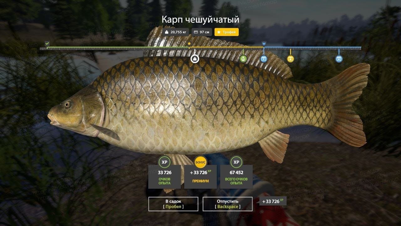 Фото точки