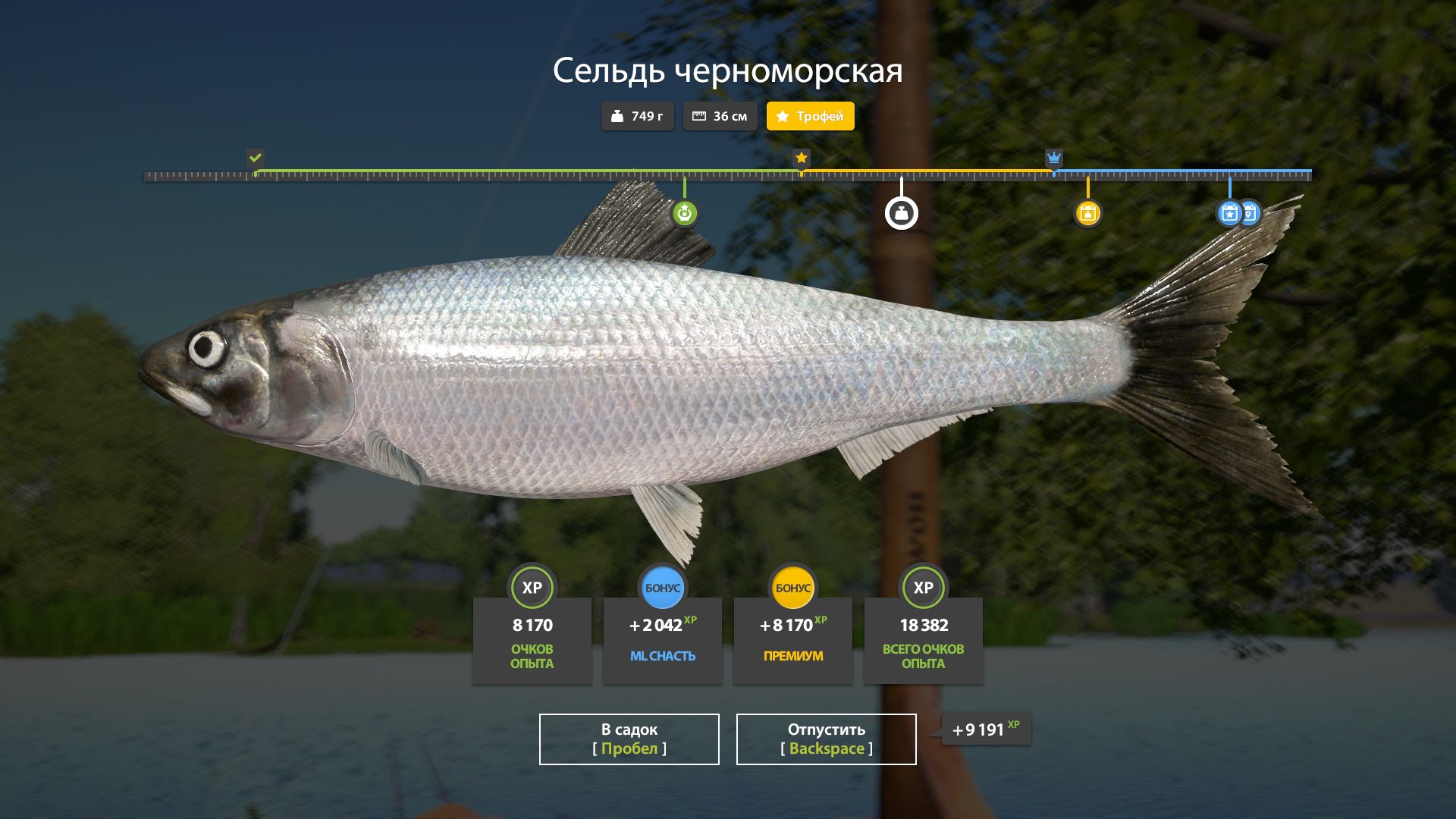 Скриншот точки клева на #трофей_rf4map